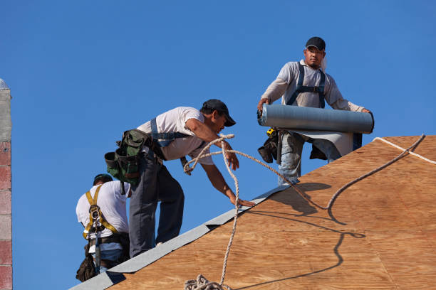 Best Roof Maintenance Services  in Marion, PA